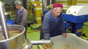 تونس تسعى للمحافظة على المردودية العالية لزيت الزيتون- أرشيفية