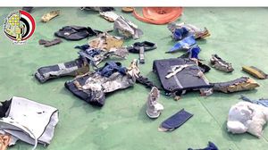بقايا جمعت من الطائرة بعد سقوطها (صورة وزعتها القوات المسلحة)