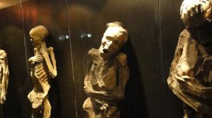 متحف "عالم الجسد" للجثث المحنطة بتقنية "التلدين" في ألمانيا من المتاحف الأخرى التي خرجت عن المألوف والتقليدي- مجلة "موي أنترسنتي" الإسبانية