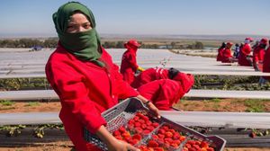 وكشف تحقيق صحافي تعرض العاملات المغربيات في حقول الفراولة للاستغلال الجنسي ـ أرشيفية