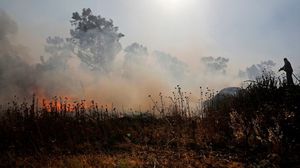 شهدت الغابات في أنغولا وجنوب جمهورية الكونغو الديمقراطية أكثر من 10 آلاف حريق نشط، مقابل 2127 حريق في البرازيل- جيتي 