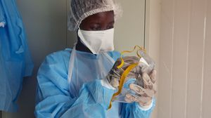حتى فجر الإثنين سجلت وزارة الصحة في السودان 3628 إصابة بفيروس كورونا نتج عنها 146 حالة وفاة- جيتي