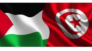 نشطاء وسياسيون ينتقدون ضعف الموقف الرسمي التونسي الداعم لفلسطين في مجلس الأمن- (فيسبوك)