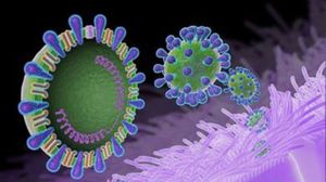 ظهر فيروس كورونا لأول مرة بين البشر في نيسان/ إبريل من عام 2012 - أرشيفية
