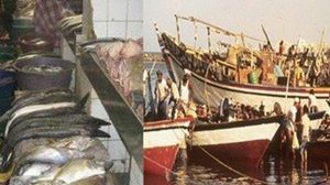 الأسماك اليمنية عالية الجودة تحتل المرتبة الثانية في الصادرات - أرشيفية