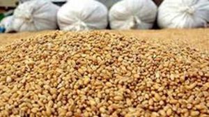 الحكومة المصرية تشتري 5 ملايين طن من القمح - أرشيفية