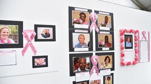 800 ألف امرأة تموت سنويا بسبب سرطاني الثدي وعنق الرحم 