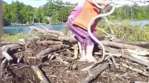 الطفلة حاولت إعطاء الثعبان لوالدها المشغول بتصوير المشهد - يوتيوب 