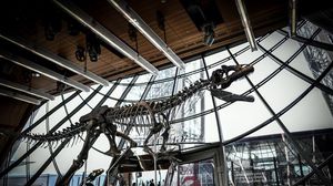 الصحيفة قالت إن هيكل ديناصور شبه مكتمل تم بيعه يوم الاثنين الماضي في باريس- جيتي