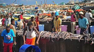 المذكرة تقضي بالسماح للقوارب والسفن التركية بالصيد داخل المياه الإقليمية الصومالية- جيتي 