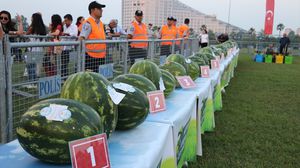 تنتج أضنة ربع محصول البطيخ في تركيا- الأناضول 