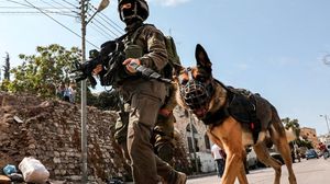 يعتبر إطلاق الكلاب البوليسية سلوكا متبعا من قبل جيش الاحتلال الإسرائيلي - جيتي