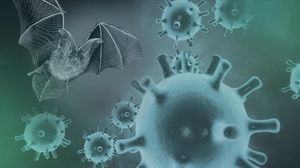 الفيروسات الجديدة تم رصدها في منطقة يونان جنوب غرب الصين- الأناضول