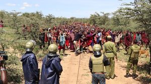 الماساي هو شعب قبلي يتواجد في جنوب كينيا وشمال تنزانيا، ويوصف أفراده بأنهم مسالمون- تويتر