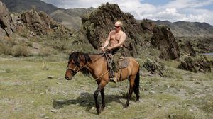 بوتين يمتطي حصانا وهو عاري الصدر- جيتي