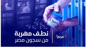 مصر  تهريب النطف  السجون المصرية - عربي21