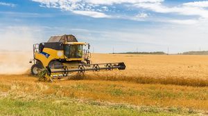 مزارعو القمح في أوكرانيا يتجهون إلى عدم زراعة الحبوب الموسم المقبل- CC0