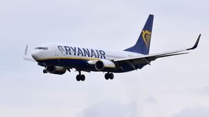 الرئيس التنفيذي لشركة الطيران الإيرلندية ريان إير قدم اعتذارا على إثر الحادثة- irishmirror