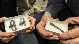 تعد العينات أقدم بقايا التيروصورات التي تم انتشالها على الإطلاق- منصة "إكس"