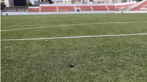 أعرب الاتحاد الفلسطيني عن إدانته الشديدة لهذا الاعتداء الإسرائيلي- الاتحاد الفلسطيني / إكس