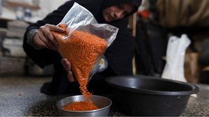 يلجأ الفلسطينيون إلى حلول مبتكرة لتوفير احتياجاتهم الأساسية من الوجبات الأساسية إلى المشروبات من أبرز هذه البدائل صنع القهوة من العدس- جيتي