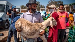  انخفاض شحنات الأغنام الأوروبية المخصصة للذبح إلى الخارج- جيتي