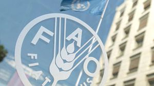 منظمة الأمم المتحدة للأغذية والزراعة "FAO" - أرشيفية
