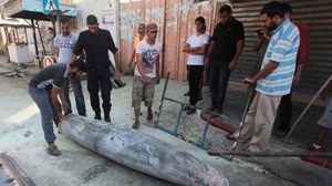 صاروخ إسرائيلي ألقي على غزة ولم ينفجر - الأناضول