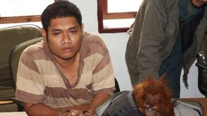 إندونيسي حكم عليه بالسجن عامين لمحاولته بيع قرد أورانغوتان في ميدان بسومطرة الشمالية - أ ف ب