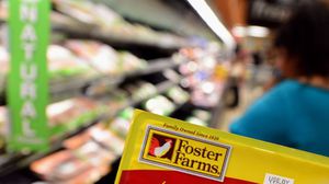 شركة مزارع فوستر هي من كبريات جهات إنتاج الدجاج في الولايات المتحدة - أ ف ب