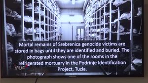 عرض النشطاء مشاهد من مجزرة سربرنيتسا - يوتيوب