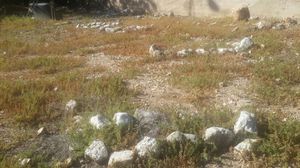 مشروع الاعتداء على المقبرة جاء بالتنسيق مع البلدية الإسرائيلية- عربي21