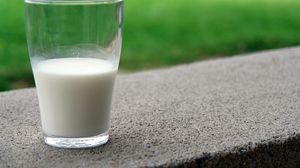 دراسة: الحليب كامل الدسم يقلل مخاطر السكتة الدماغية- أرشيفية CCO