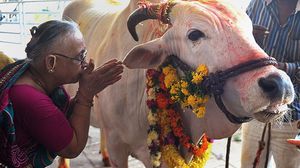 تصاعدت الاعتداءات في الهند بتهمة ذبح الأبقار- جيتي