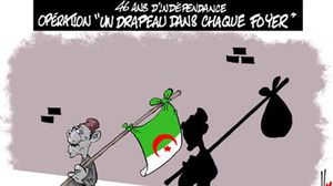 الكاريكاتير الجزائري باللغتين العربية والفرنسية.. آراء وأطروحات  (أنترنت)