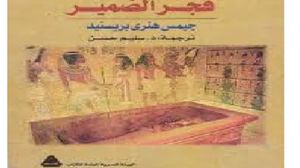 كتاب يؤكد أن المجتمع المصري له قيمه الإنسانية منذ زمن طويل (أنترنت)