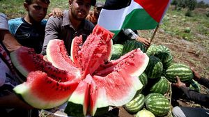 تحتوي ألوان البطيخ على 3 من 4 ألوان تشكل علم فلسطين (الأخضر، الأحمر، الأسود)- جيتي