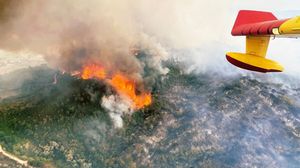 حرائق الغابات في البرتغال التهمت مساحات واسعة- تويتر