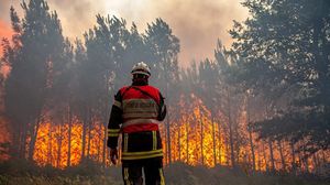 قالت السلطات  الفرنسية إن أكثر من 1200 رجل إطفاء يحاولون السيطرة على الحرائق- تويتر