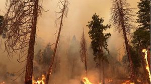تواصل فرق الإطفاء في ولاية كاليفورنيا جهودها للسيطرة على الحريق- تويتر