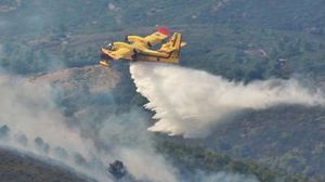سجل المغرب في عام 2022 نحو 500 حريق اجتاحت أزيد من 22 ألف هكتار من غاباته- ماب