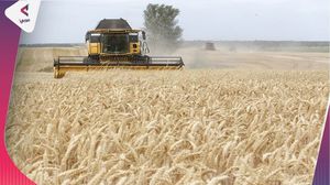أعلنت روسيا رفضها تجديد اتفاقية الحبوب الأوكرانية- عربي21