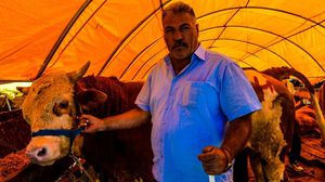تركيا سبق لها وأن سجلت حالات متفرقة من المرض في الأعوام الماضية- جيتي