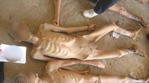 معتقلون سوريون تم تعذيبهم وقتلهم في سجون النظام السوري - الأناضول