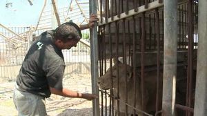 حديقة الحيوان "بيسان" في غزة - أ ف ب