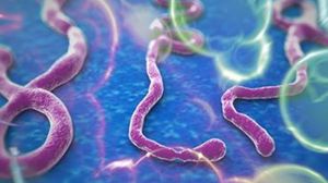 إيبولا وباء معدٍ ينتقل عبر الاتصال المباشر مع المصابين - أرشيفية