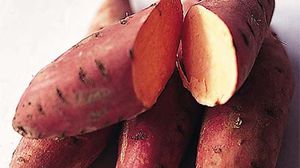 البطاطا الحلوة من أغنى الخضروات بالعناصر الغذائية الضرورية للجسم