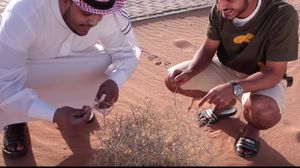 طالب الشباب بمحاسبة بلدية "بقعاء" بسبب مشروع "منتزه النفود" - يوتيوب