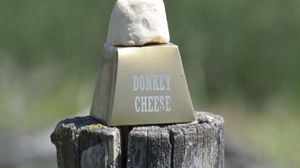 يعد جبن الحمير أغلى أنواع الجبن في العالم- أرشيفية