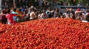 "حرب الطماطم" تجري يوم الأربعاء الأخير من شهر آب/ أغسطس من كل عام- أرشيفية